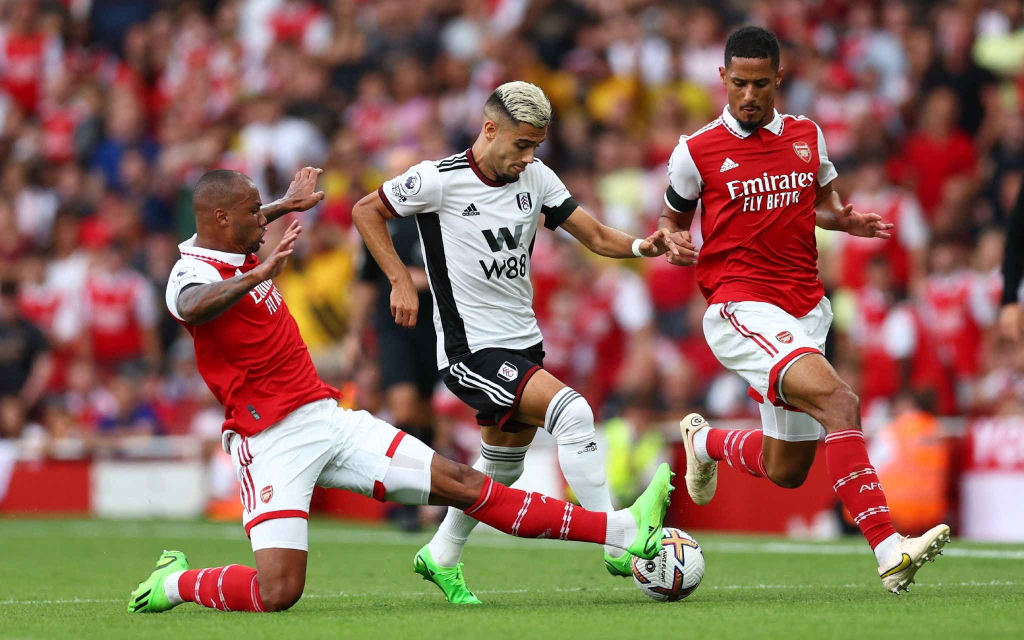 也为中国羽 也为中国羽